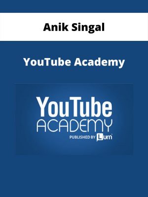 Anik Singal – Youtube Academy