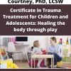 Certificate In Trauma Treatment For Children And Adolescents: Healing The Body Through Play – Jennifer Lefebre , Janet A. Courtney, Phd, Lcsw