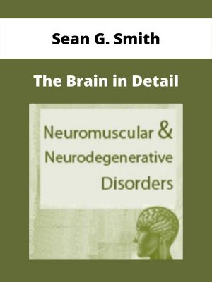 The Brain In Detail – Sean G. Smith